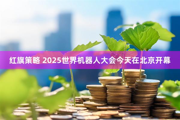 红旗策略 2025世界机器人大会今天在北京开幕
