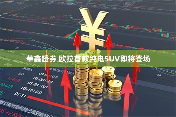 華鑫證券 欧拉首款纯电SUV即将登场